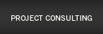 Project Consulting