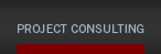 Project Consulting